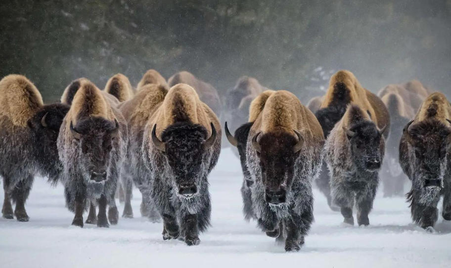 吉林省桦甸市吉兴播种器有限公司轮播图5